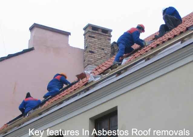 Key features In Asbestos Roof removal﻿ Picture